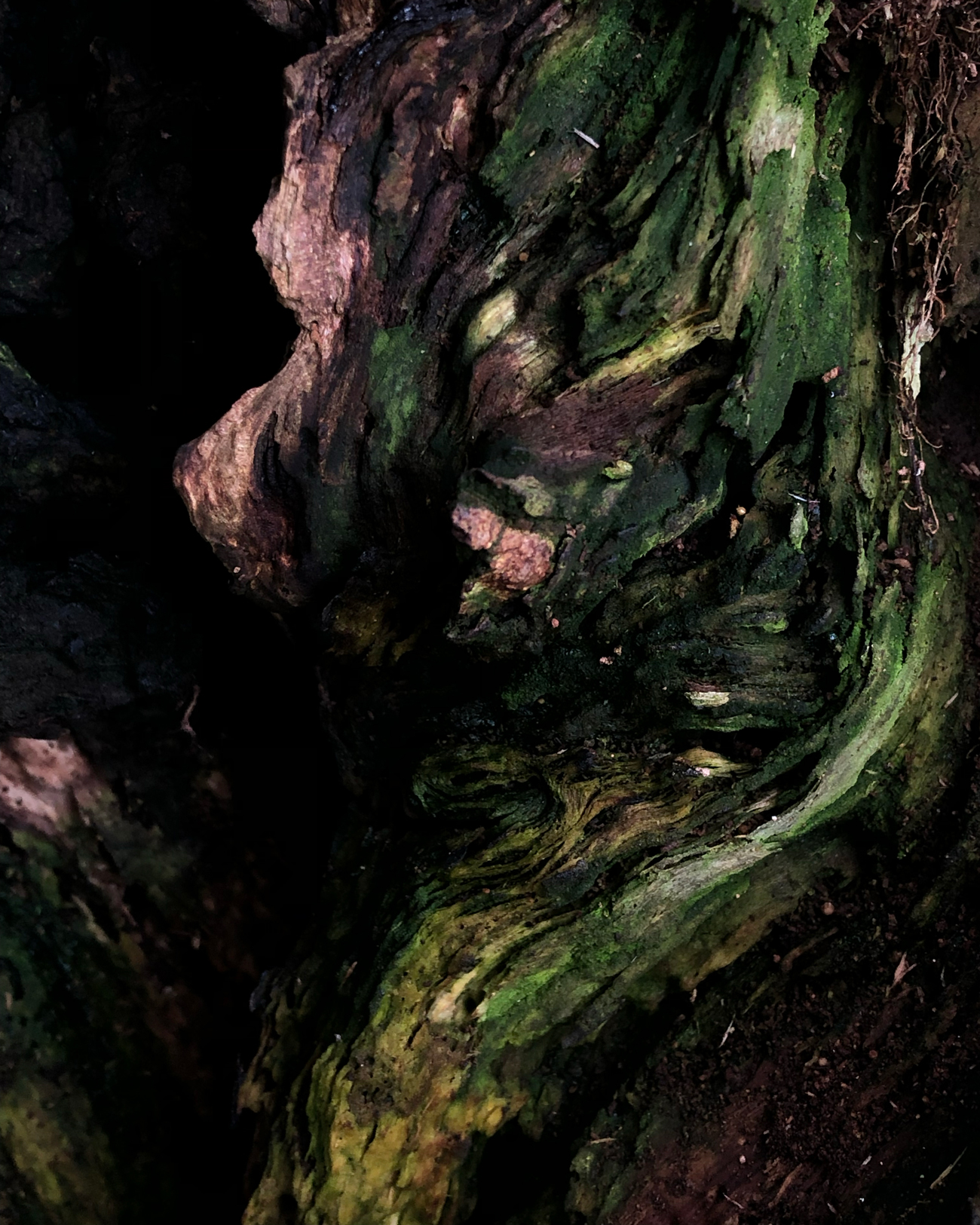 Paintings_Bobbie-van-Leeuwen_08_HI-RES