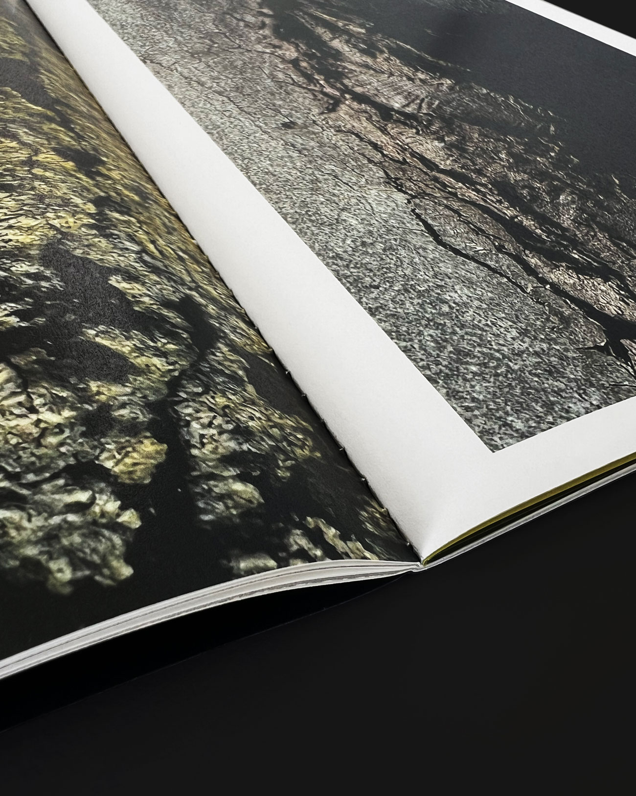 Paintings_Bobbie-van-Leeuwen_11_HI-RES