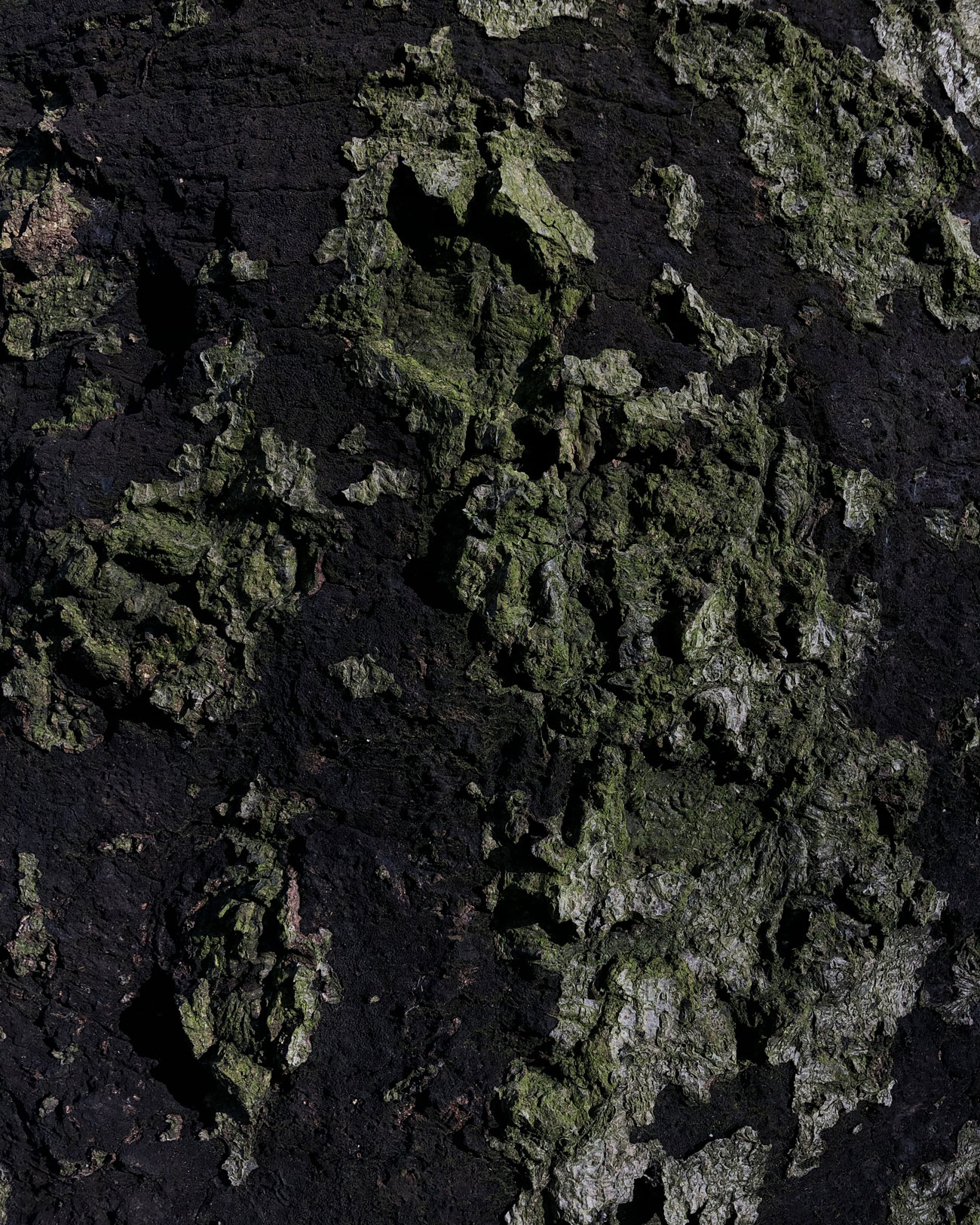 Paintings_Bobbie-van-Leeuwen_14_HI-RES