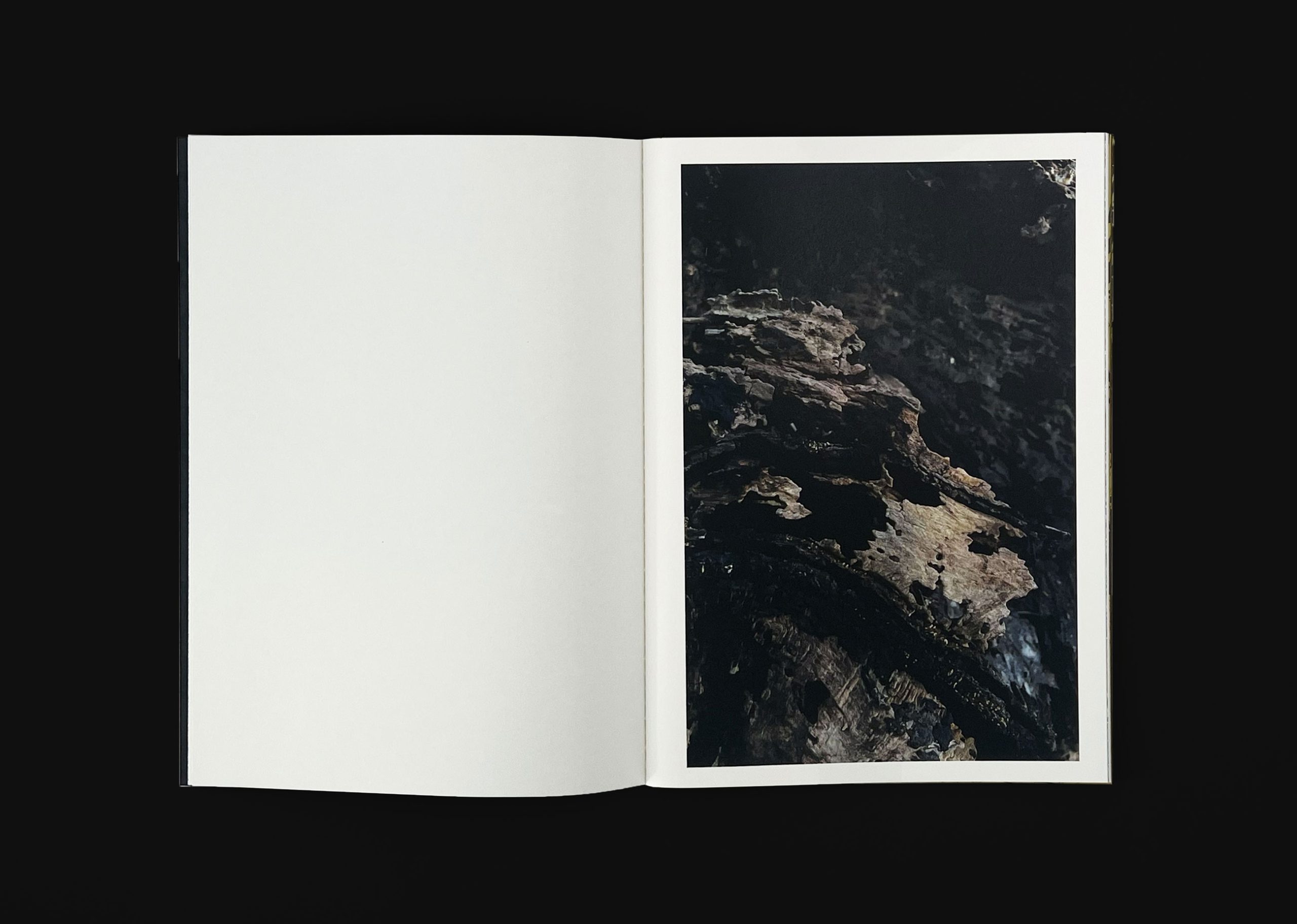 Paintings_Bobbie-van-Leeuwen_b