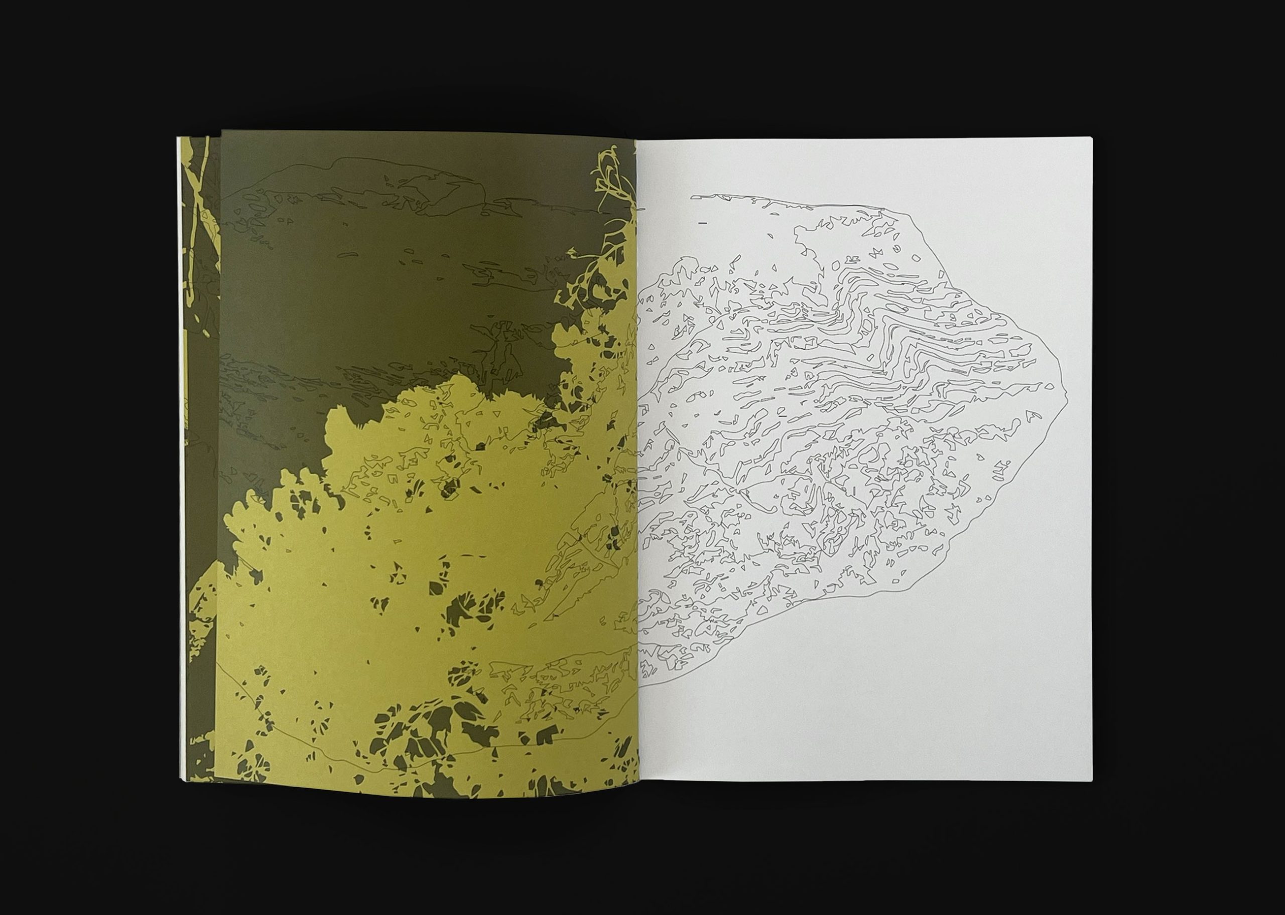 Paintings_Bobbie-van-Leeuwen_c