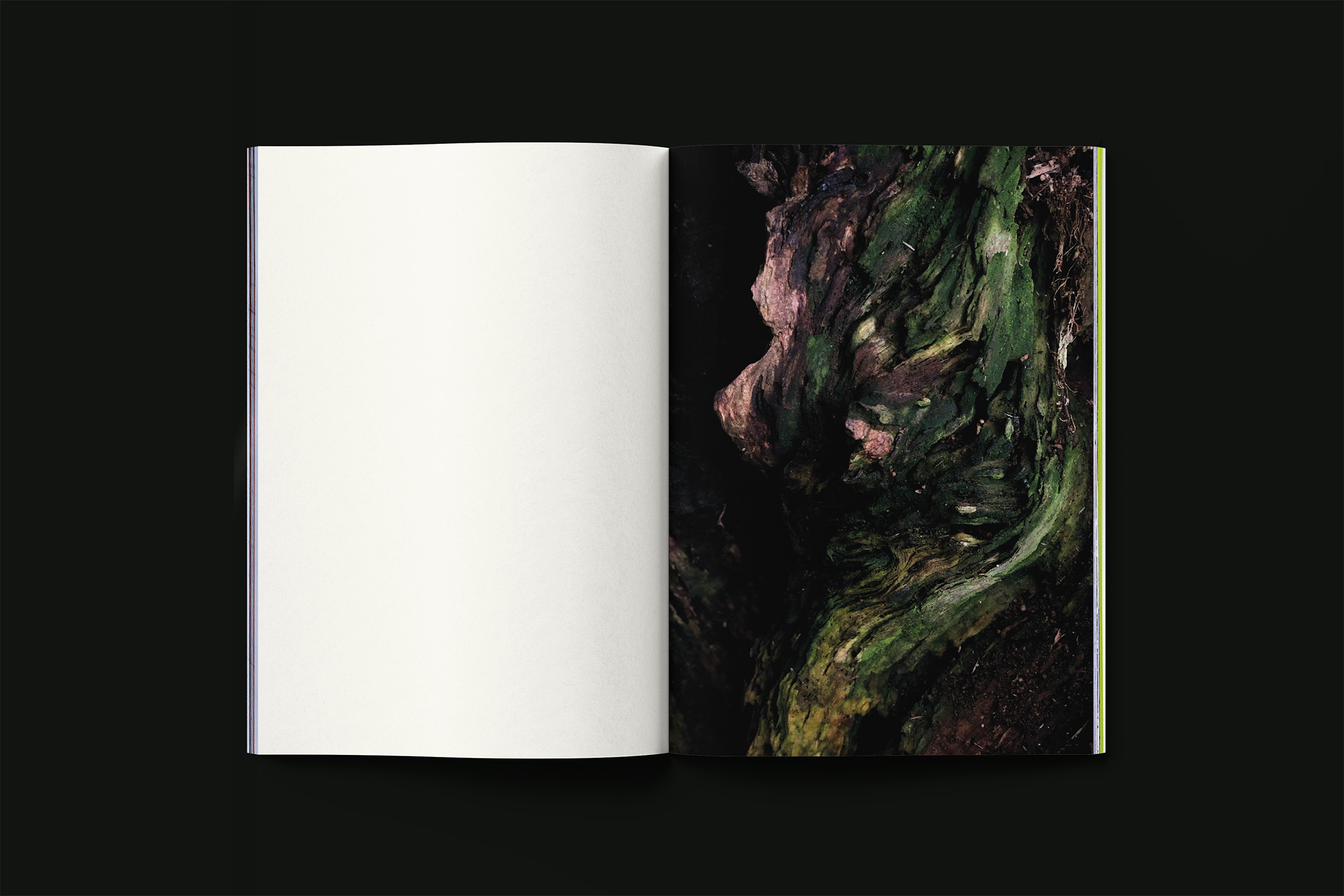 Paintings_binnenwerk-02