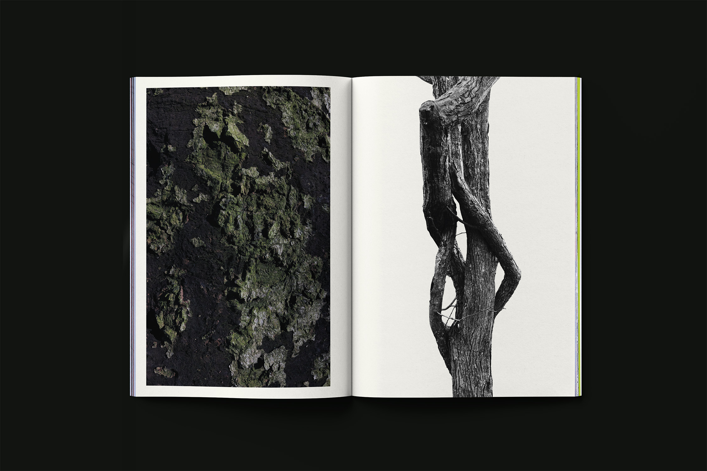 PAINTINGS Bobbie van Leeuwen