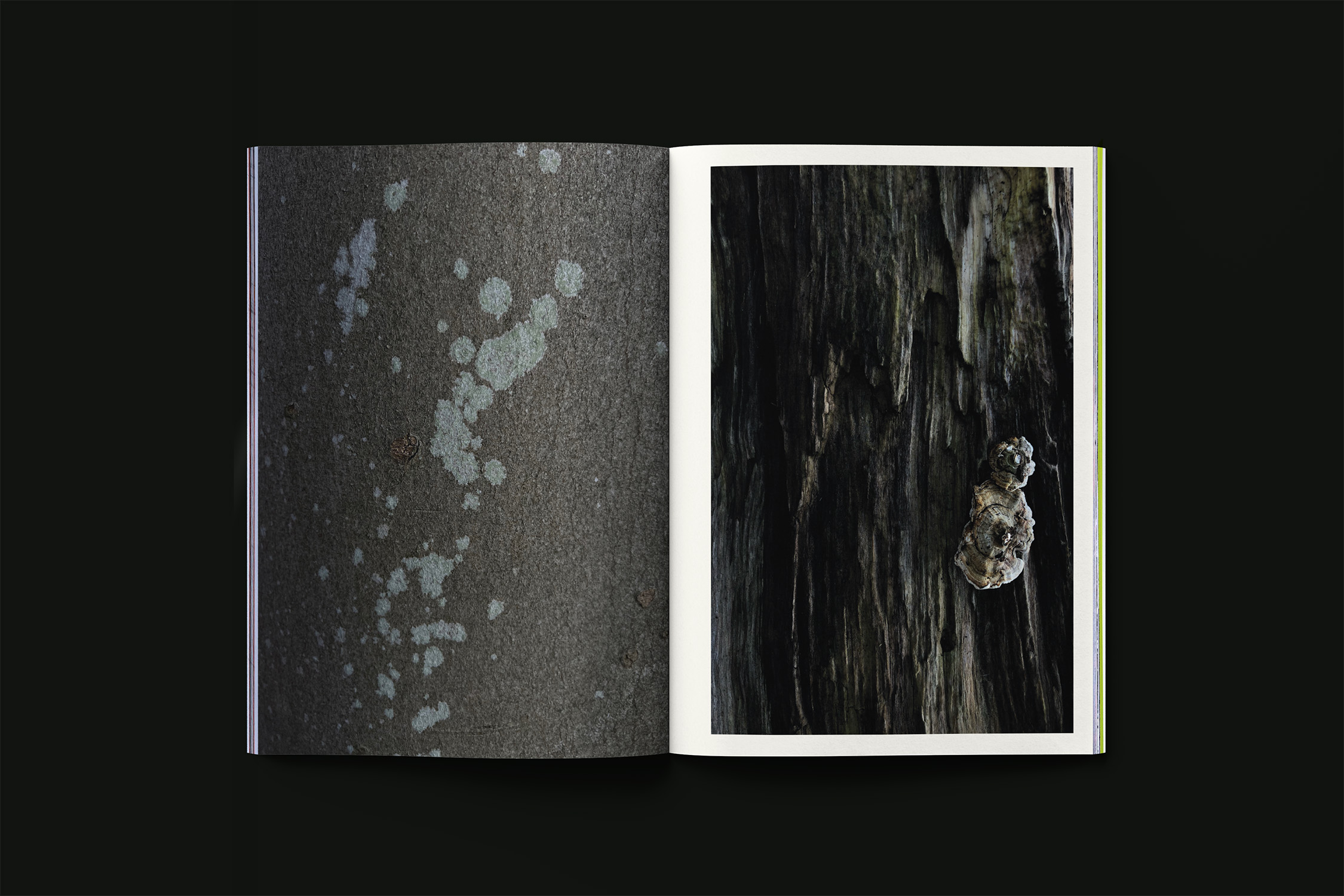 Paintings_binnenwerk-05